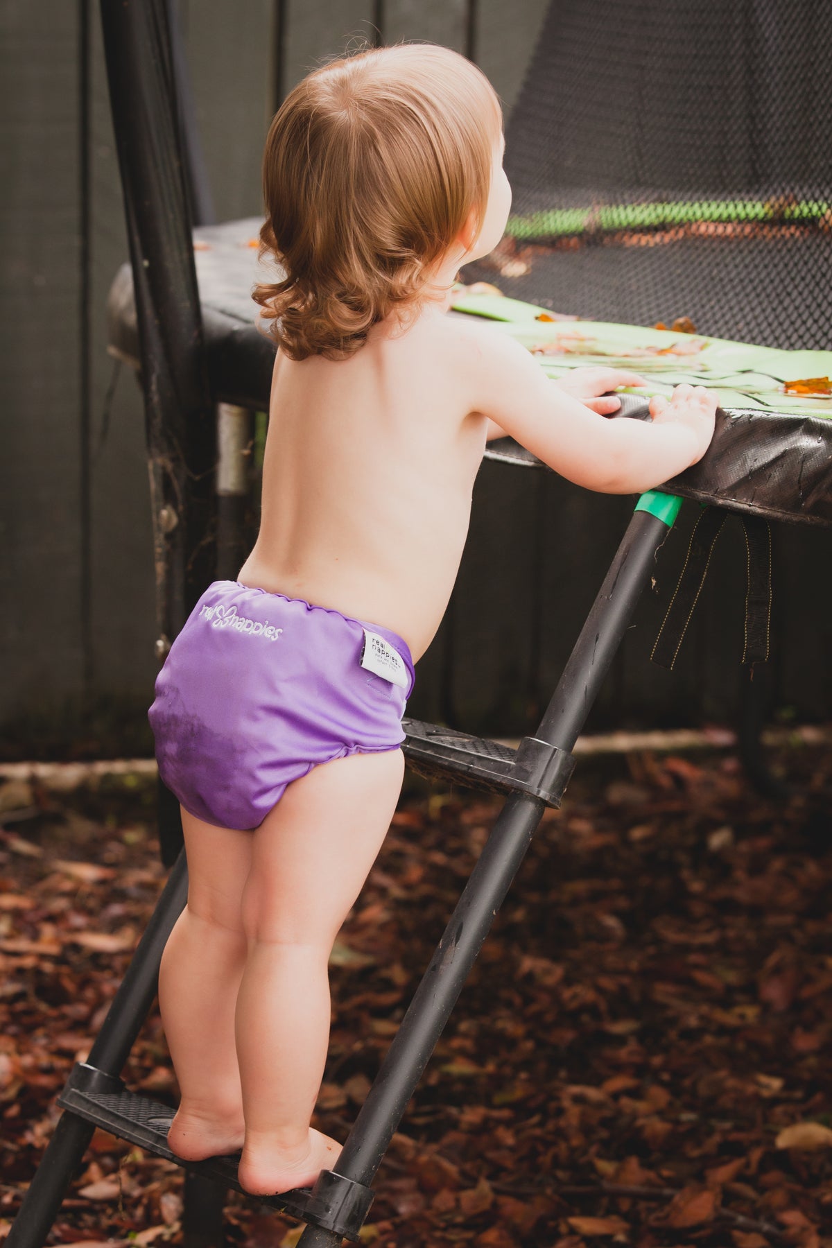 Superior 6 Pack Fold Cotton Nappies (Toddler)-61963